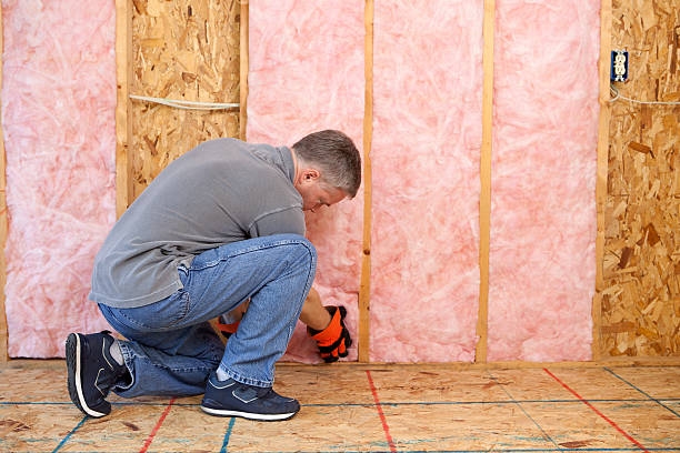 Best Geographic-Specific Insulation Services in Goulds, FL